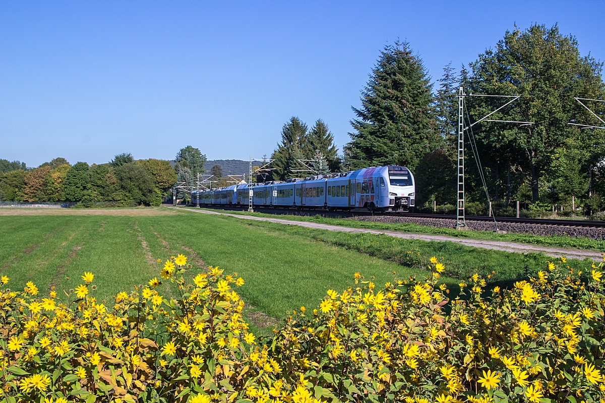  (20151002-170614_429 119_Vogelbach_RE 4129_RM-KKO_b3.jpg)