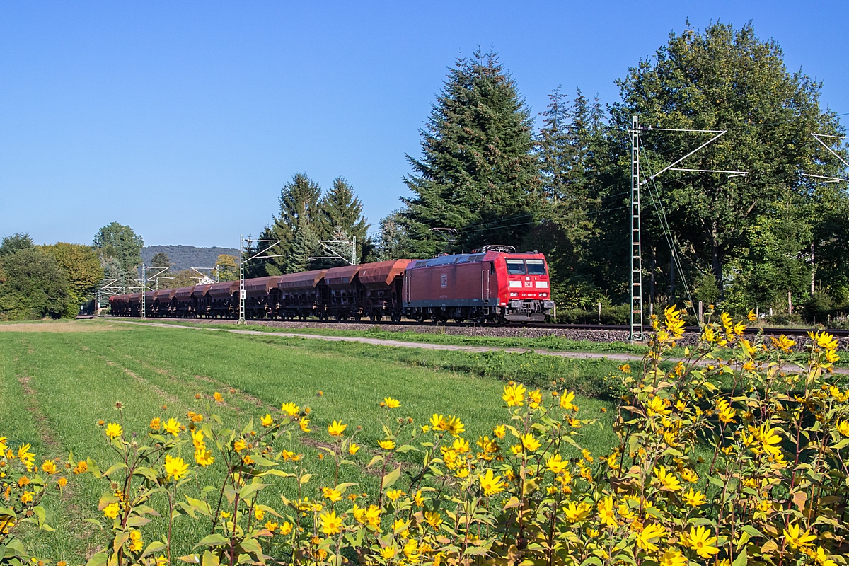  (20151002-174026_185 061_Vogelbach_62549_Frankfurt-Ost - SDL_a2.jpg)