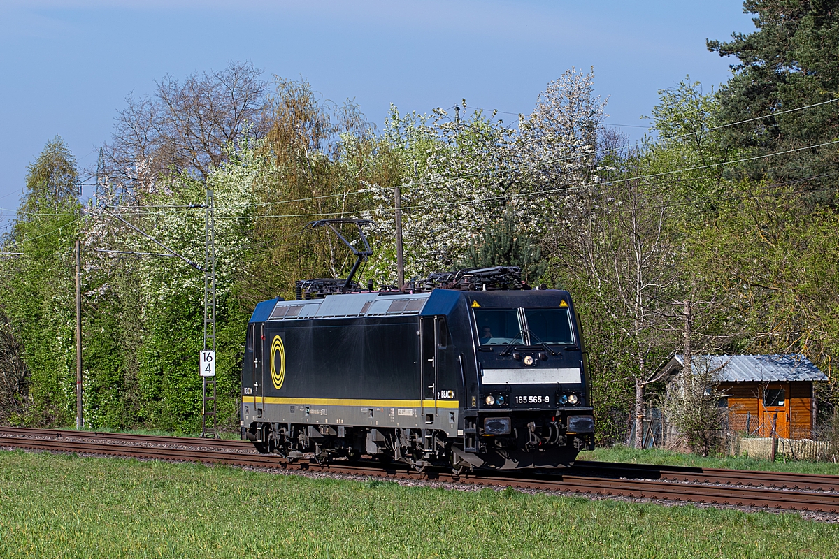  (20260415-104220_185 565_Vogelbach_IPZ Tfzf(D) 63725_SDLH - Karlsruhe West_a.jpg)
