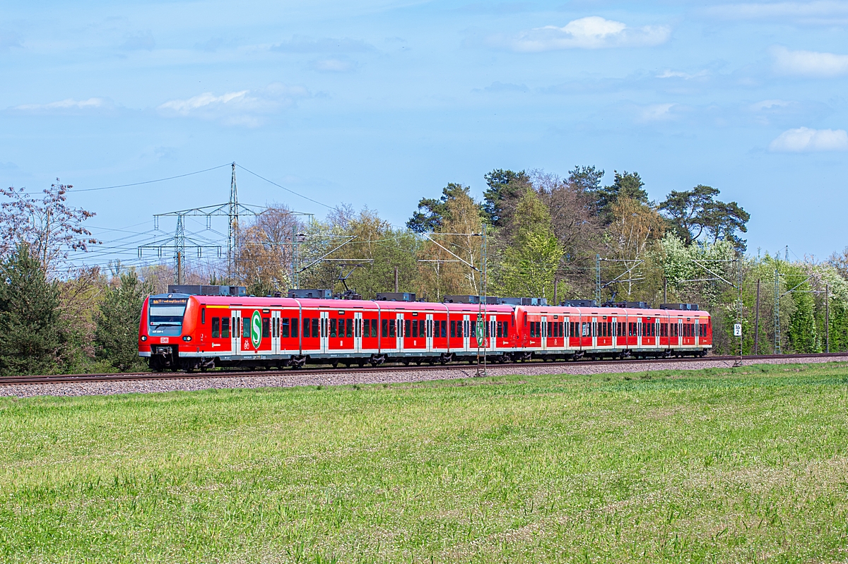  (20260415-141710_425 228-425 760_Vogelbach_S 38144_Neustadt-B&ouml;big - SHO_a.jpg)