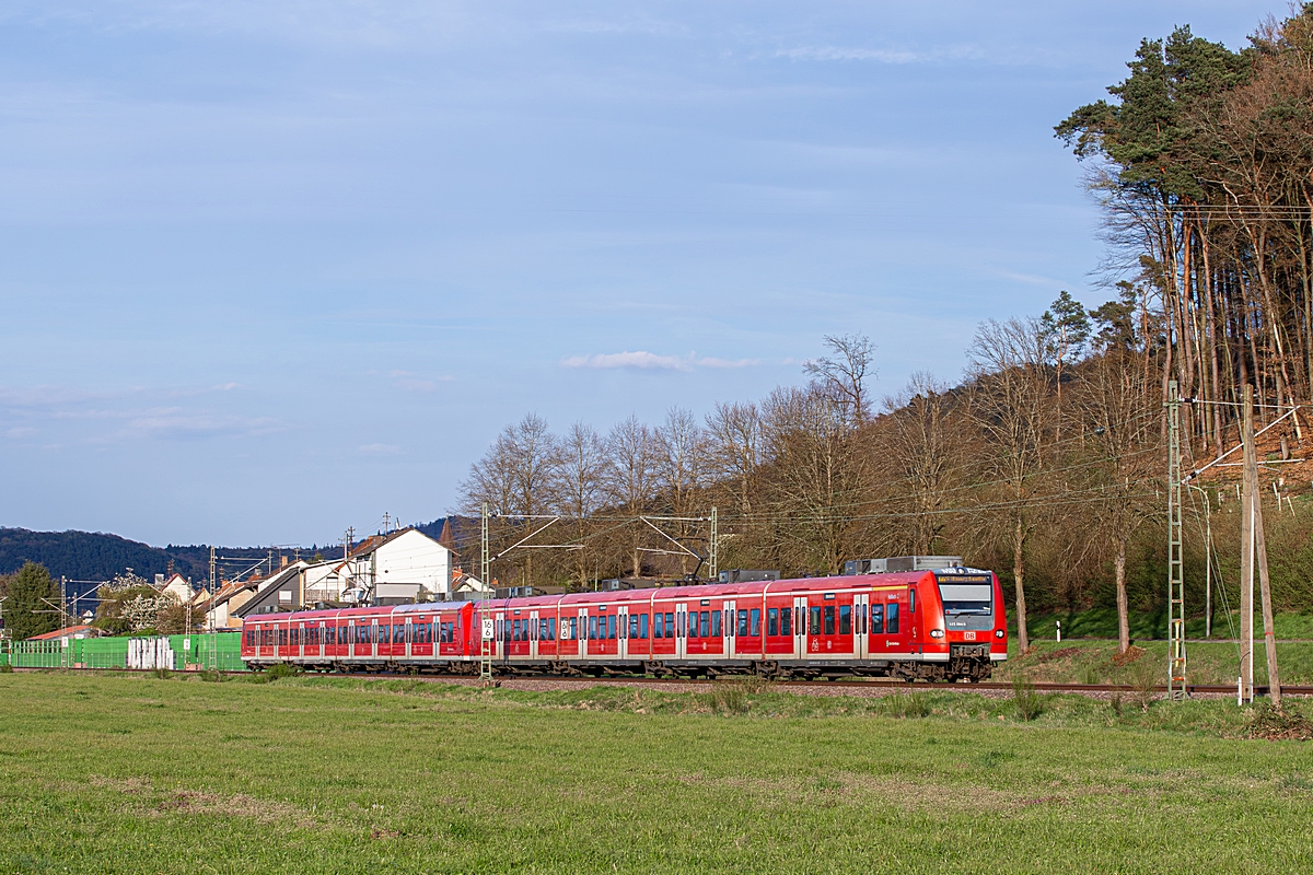 (20260415-190919_425 204-425 268_Vogelbach_S 38136_Osterburken-SHO_a.jpg)