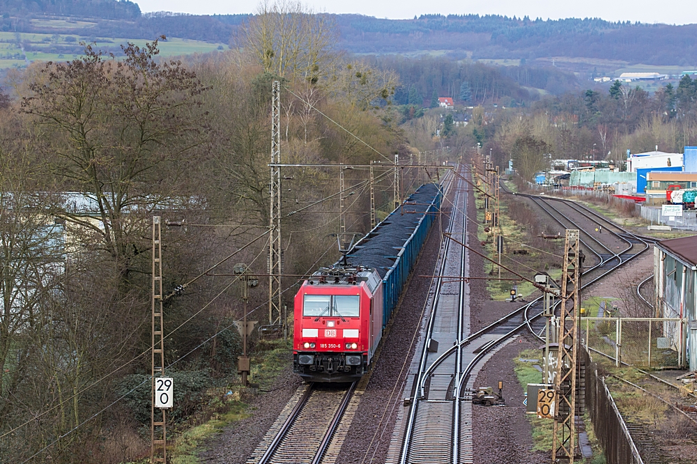  (20160110-130920_185 350_Dillingen-Katzenschwänz_GM 62584_Bochum Langendreer Lgf - SDL_a.jpg)