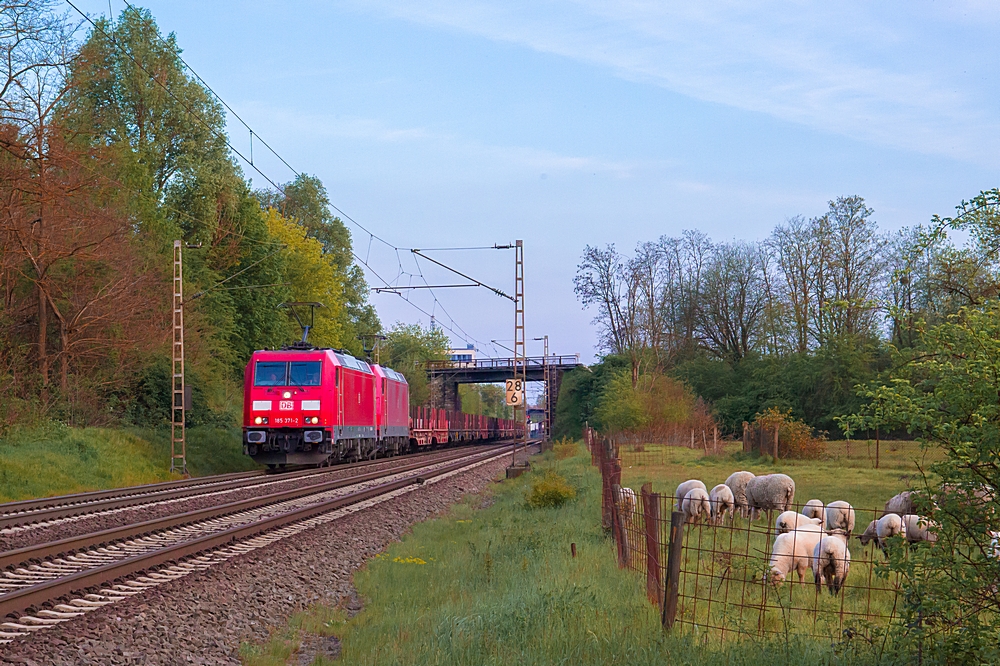  (20160502-200640_185 371-185 237_Dillingen-Nord_GM 60441_SDLH - Mühlheim-Styrum_a2.jpg)