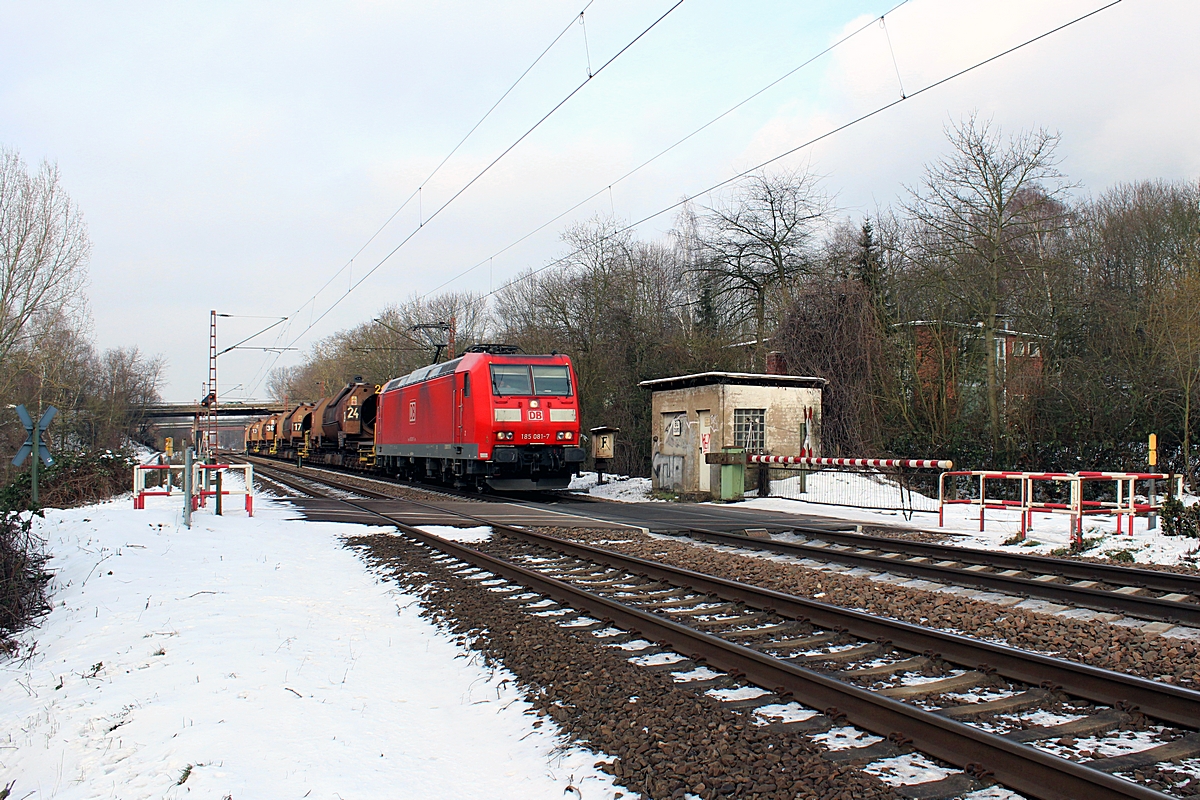  (20130126-114734_GM 61828a.jpg)