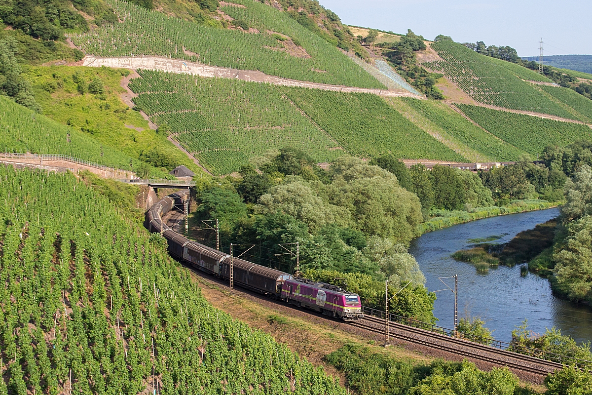 (20150717-185028_37027_zw Wiltingen und Kanzem_DGS 95325a2.jpg)