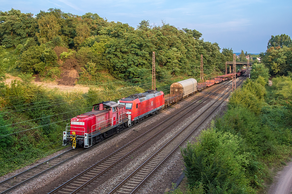 (20150813-194130_294 869-185 013_Dillingen-Süd_EK 55922_SSR West - SDLH_a.jpg)