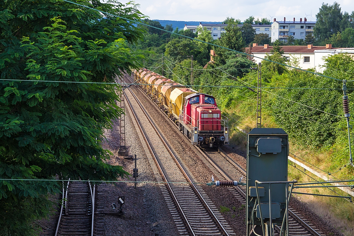  (20160726-180858_294 746_Dillingen_Dillingen Katzenschwänz - Dillingen_a.jpg)
