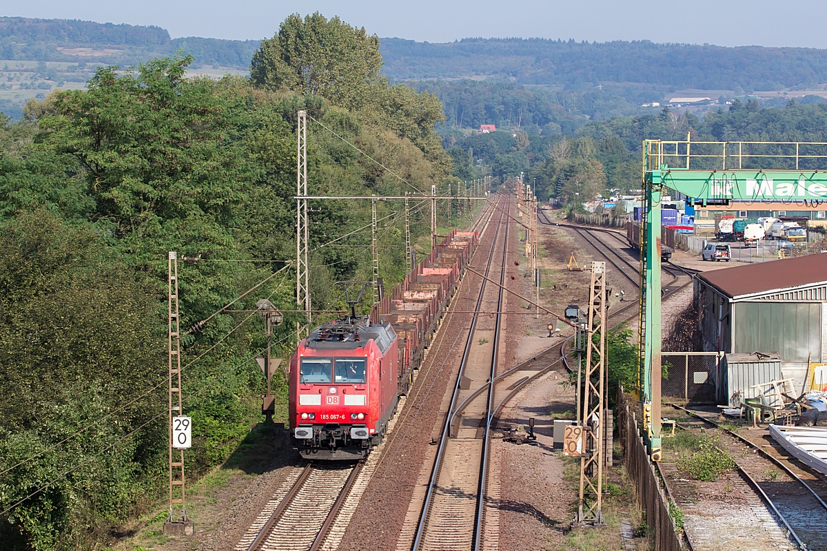  (20160923-111006_185 067_Dillingen Katzenschwänz_GM 62634_Mülheim (Ruhr)-Styrum - SDLH_a.jpg)