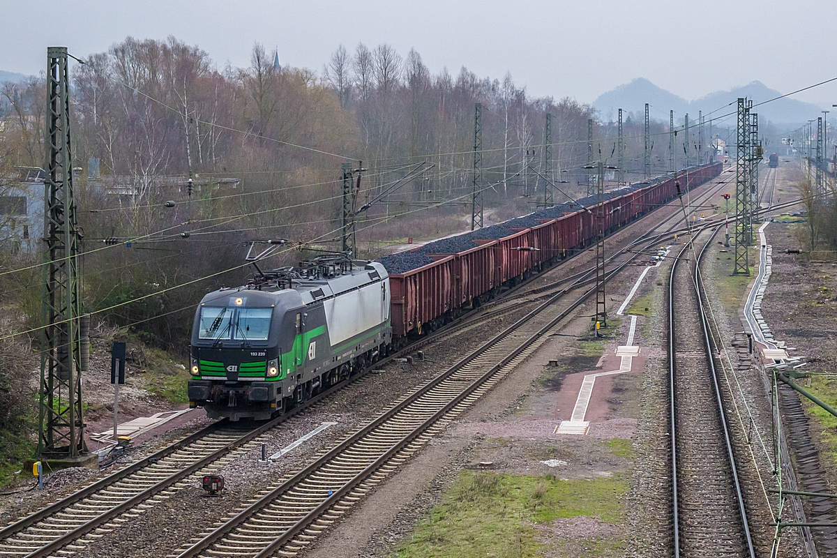  (20180208-155500_193 239_Bous_DGS 95515_Hegyeshalom-SDL_am.jpg)