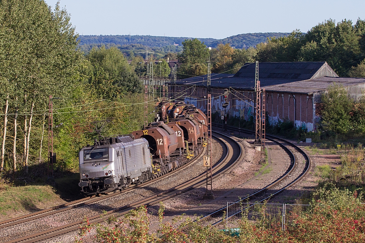  (20180909-180738_37002_Bous_DGS 91312_SVL-SDLH_a.jpg)