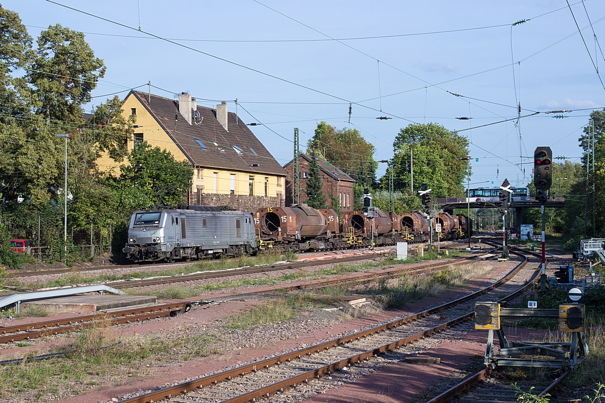  (20180910-175226_37002_Bous_DGS 91312_SVL-SDLH_a1.jpg)