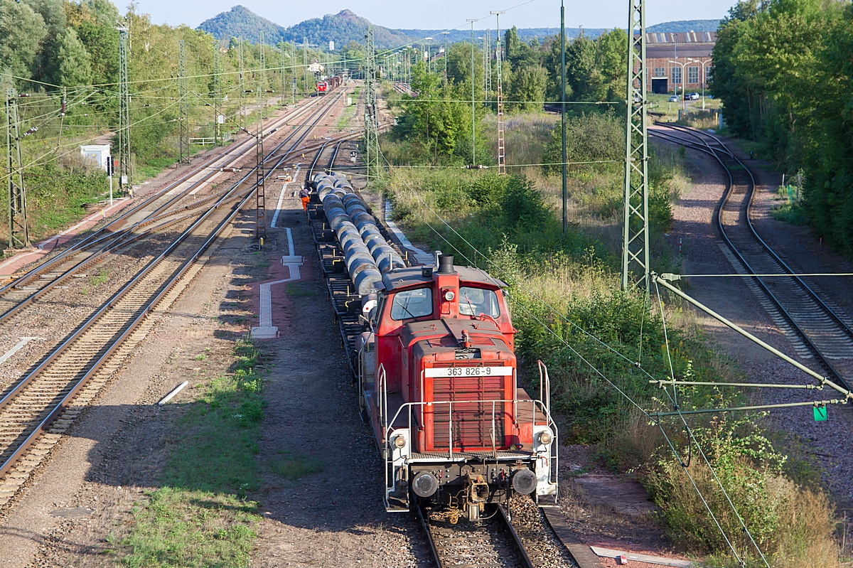  (20190829-181412_363 826_Bous_b.jpg)