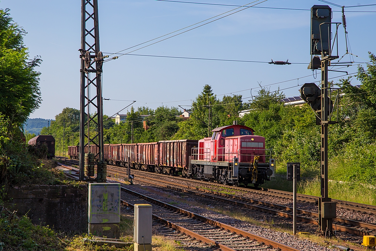  (20250611-181940_294 602_Dillingen_EZK 55019_SDLK-SDL_a1.jpg)