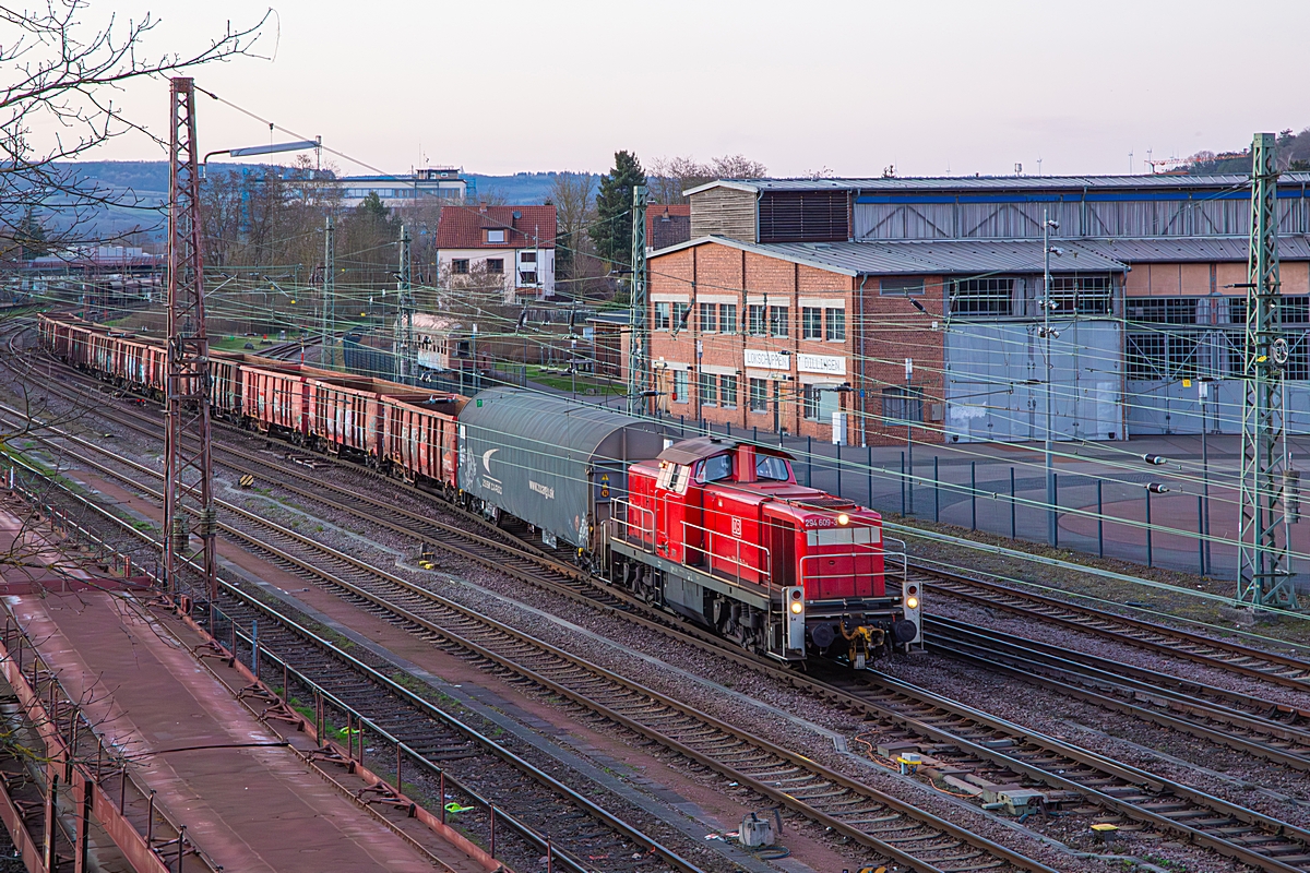  (20260304-182455_294 609_Dillingen_EZK 55019_SDLK-SDL_b.jpg)