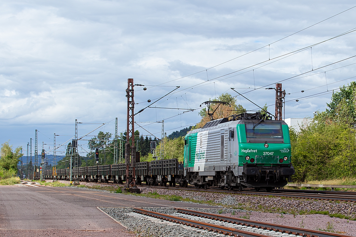  (20260702-171658_37047_Ensdorf_Brammenzug_a.jpg)