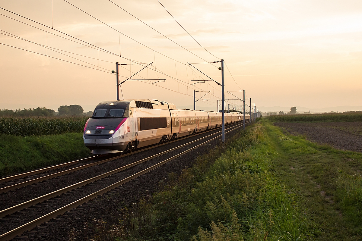  (20140905-194204_SNCF TGV 505_Hochfelden_a.jpg)