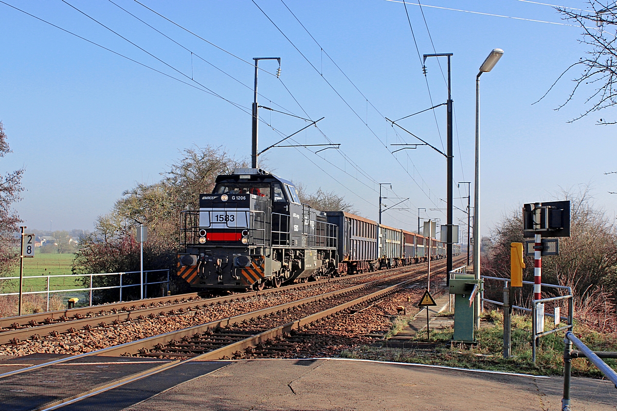  (20140131-114200b.jpg)