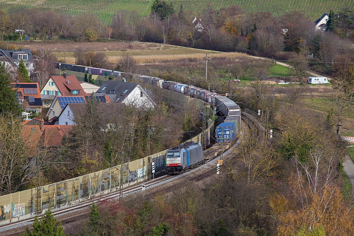  (20251113-140209_186 501_Schallstadt_BLS Cargo DGS 40251_Antwerpen-Noord - Gallarate_a2.jpg)