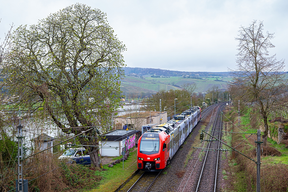  (20260328-122247_3428 533_Palzem_RB 12164_STR-Perl_a.jpg)