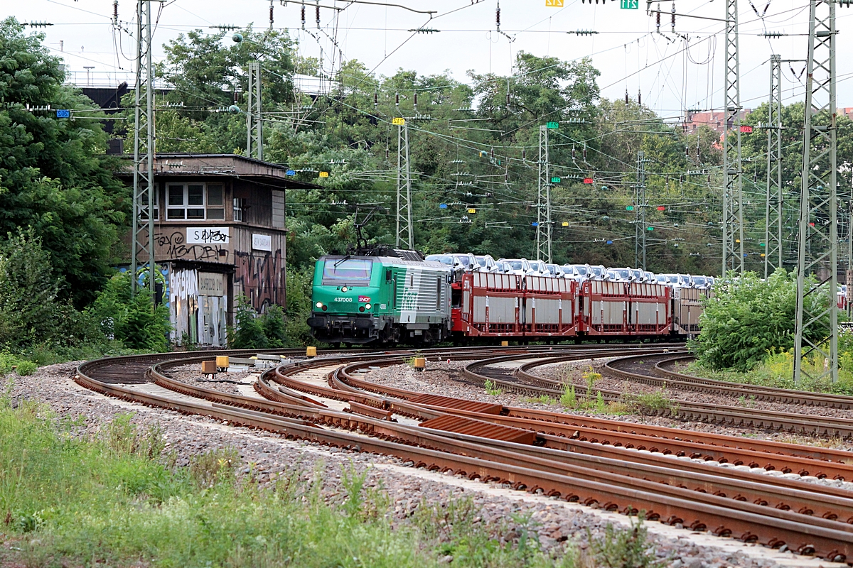 (20120824-184028b.jpg)
