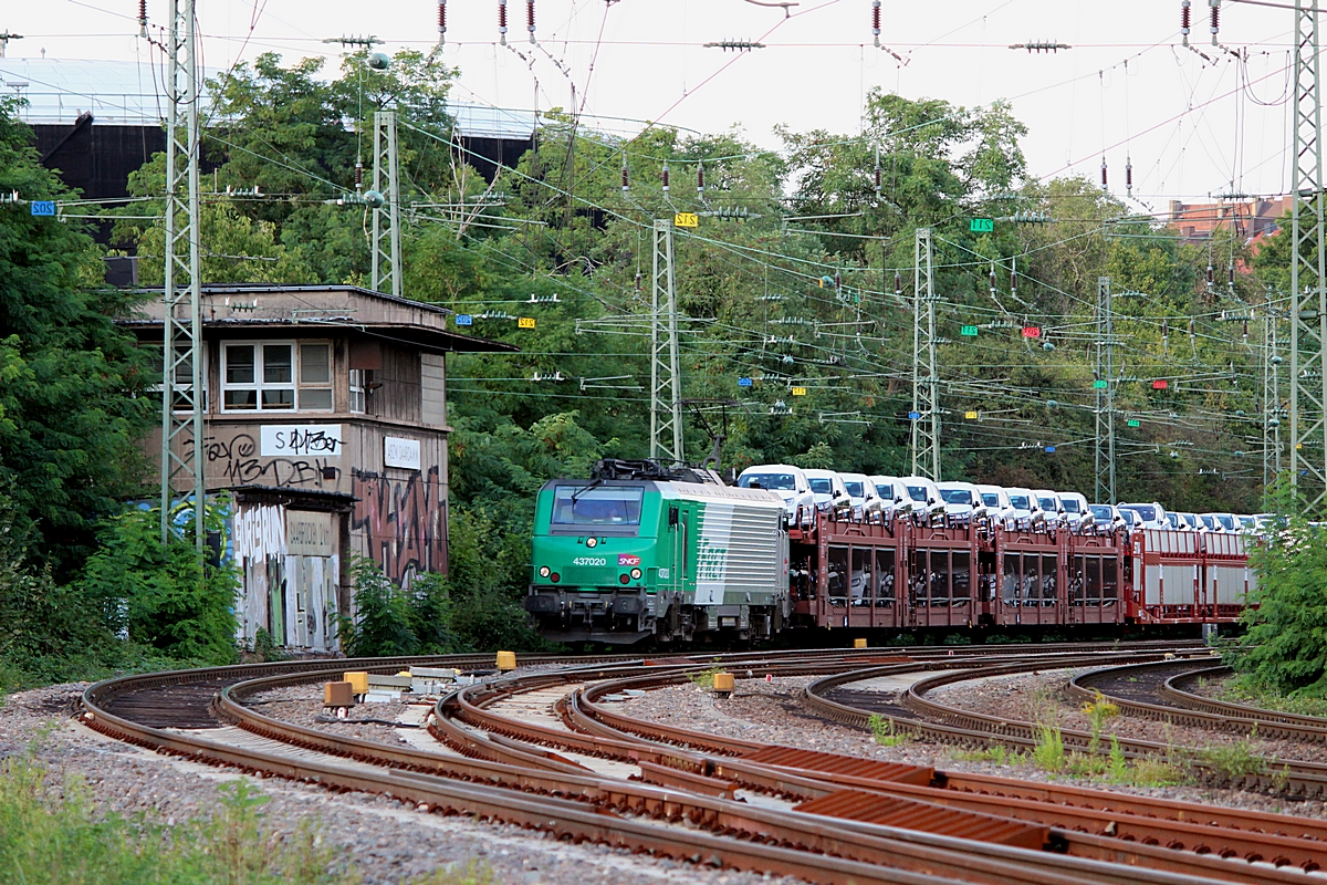 (20120829-182444b.jpg)