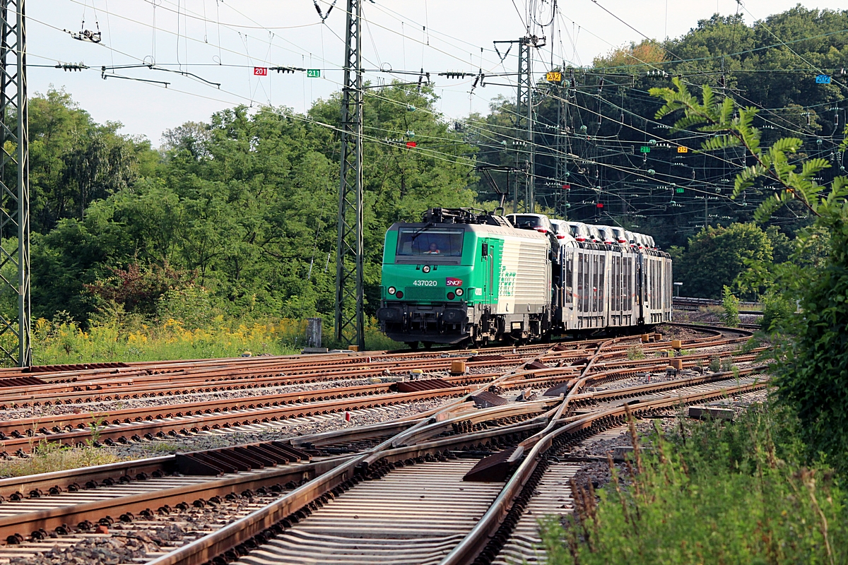 (20120902-172038b.jpg)