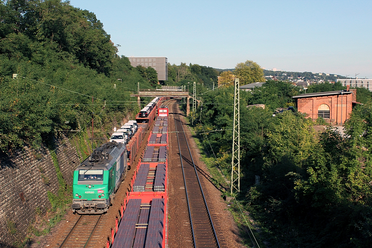 (20120903-180944b.jpg)