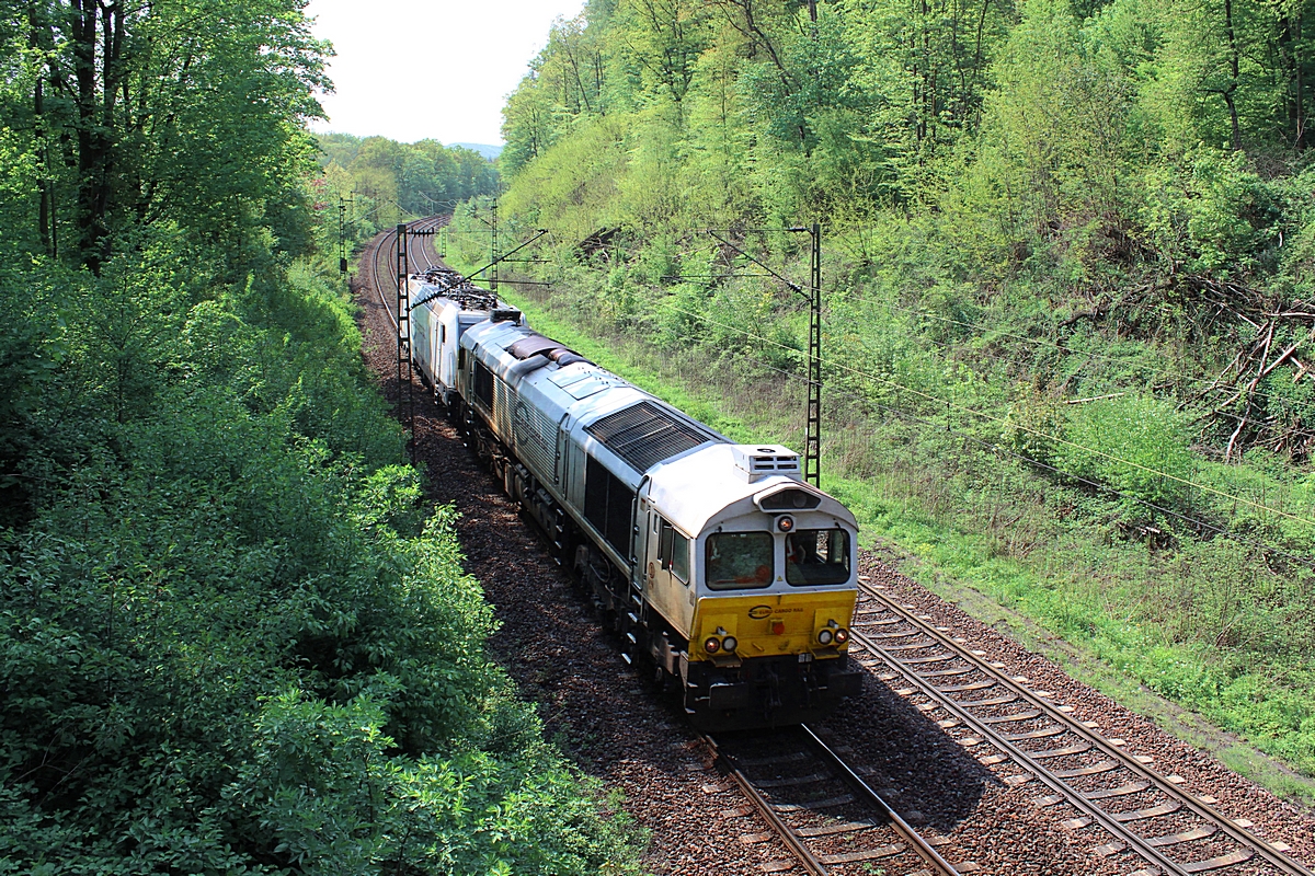 (20130508-121216b.jpg)