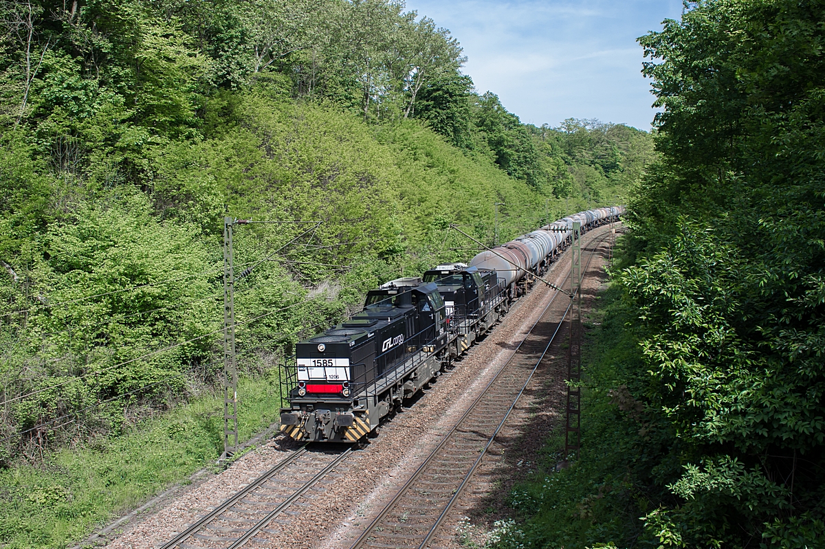  (20140505-114626_CFL 1585-1586_DGS 83776b.jpg)