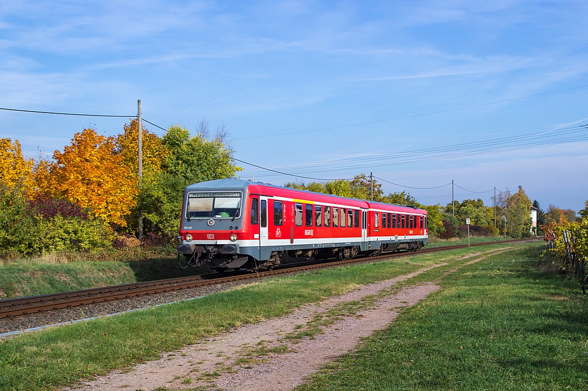  (20151024-114352_928 481_zw Deidesheim und Mußbach_RB 13729_Grünstadt-Neustadt_a.jpg)