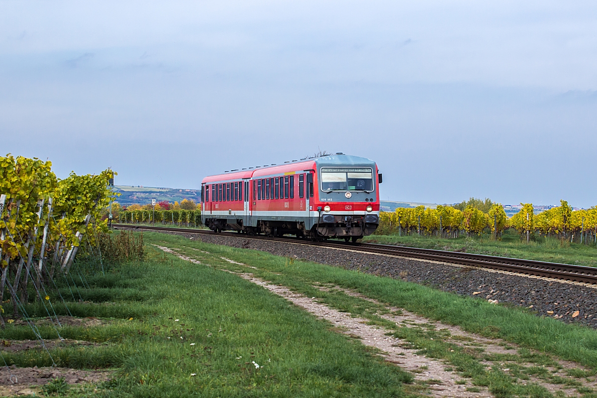  (20151024-133530_928 462_nördlich von Wachenheim_RB 13737_Grünstadt-Neustadt_b.jpg)