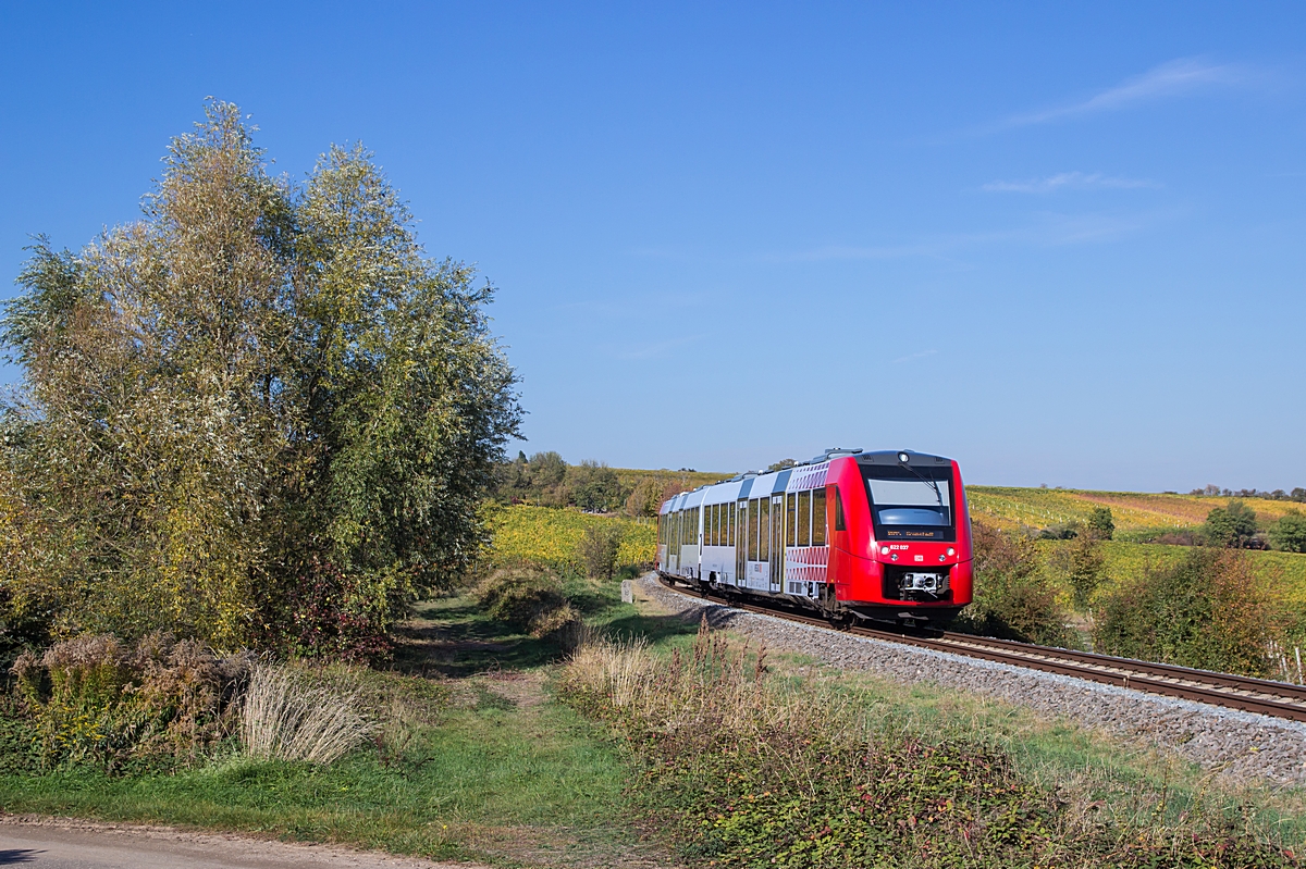  (20181016-144541_622 037_Herxheim am Berg_RB 13770_Neustadt-Grünstadt_a1.jpg)