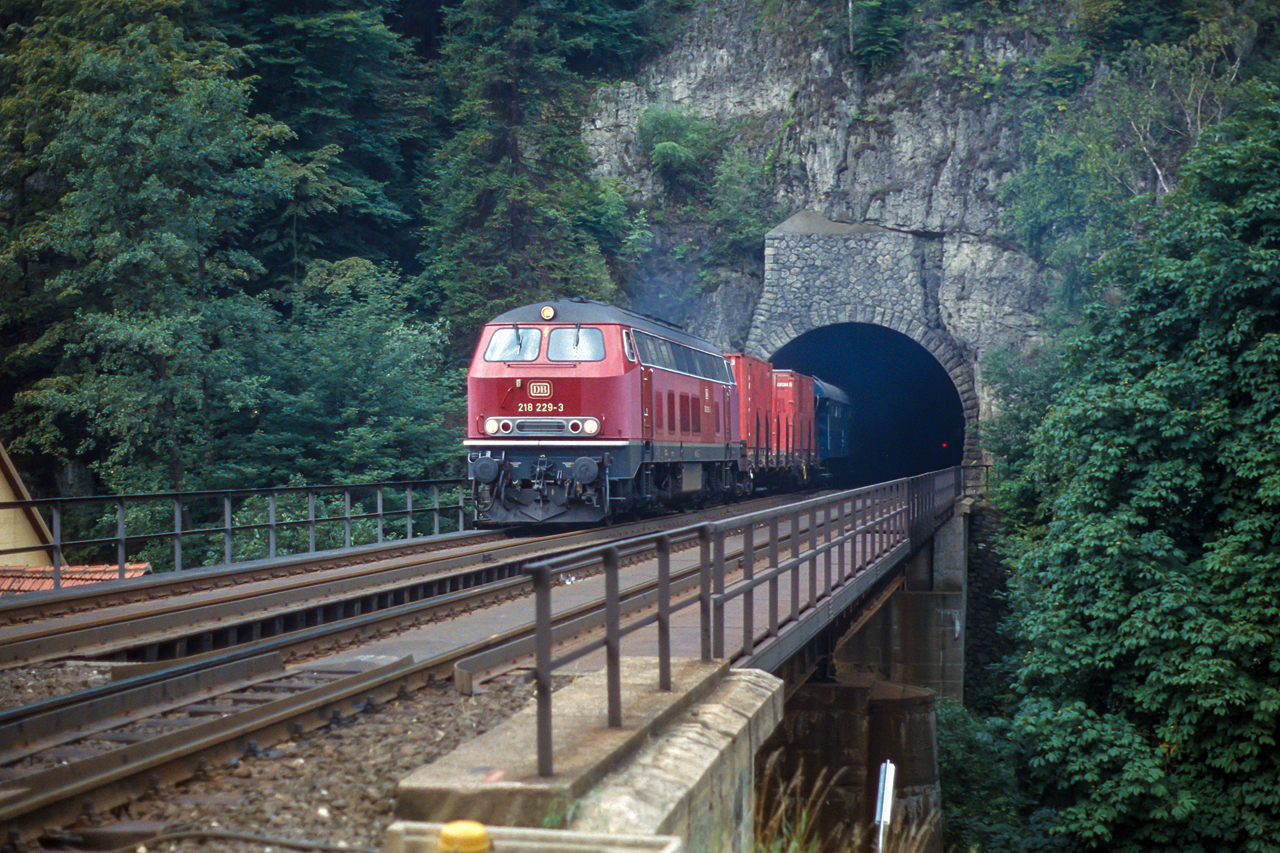 https://www.klawitter.info/bahn/allgemein/19850810_36-39_218229_zw_Velden_und_Rupprechtstegen_k.jpg