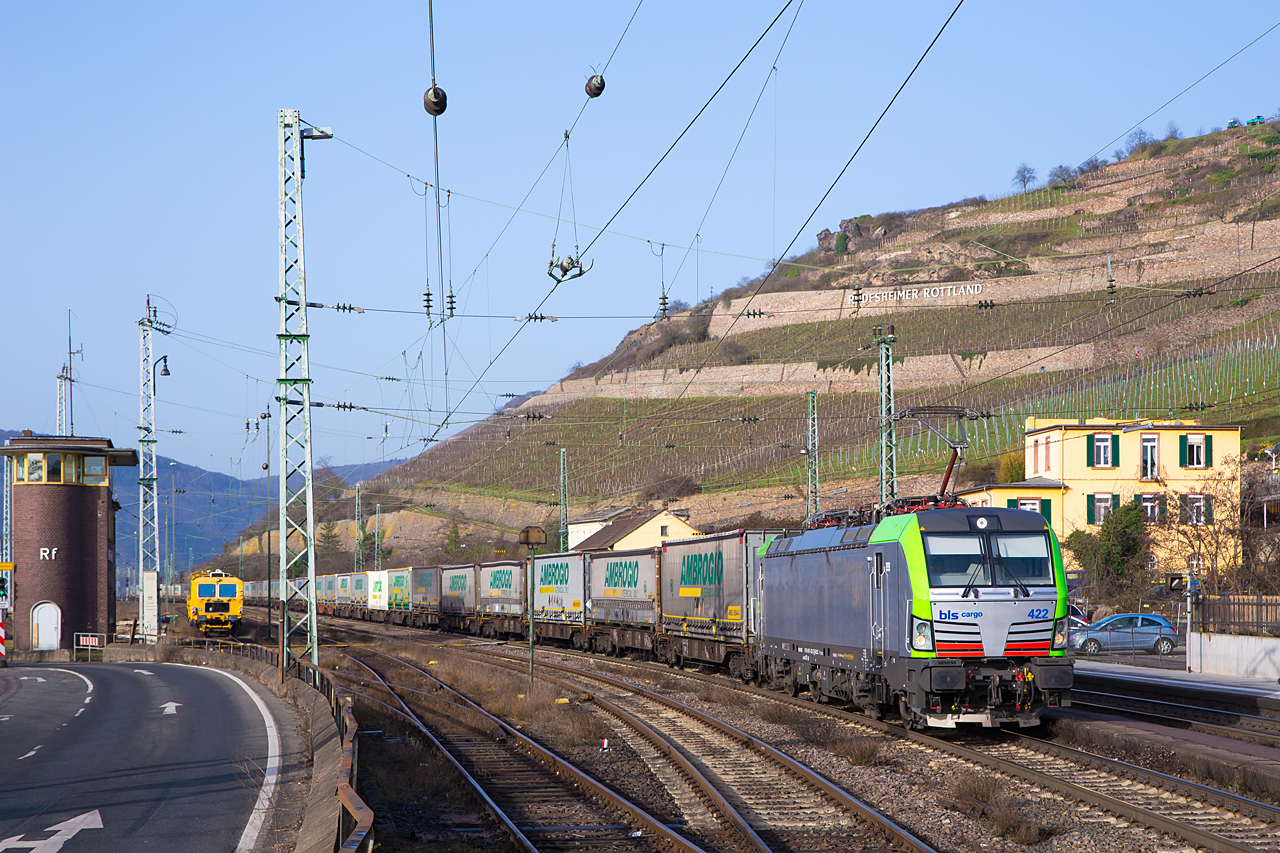 20210224-092305_BLS475422_Ruedesheim_DGS40055_Muizen-Goederen-Gallarate_ak.jpg